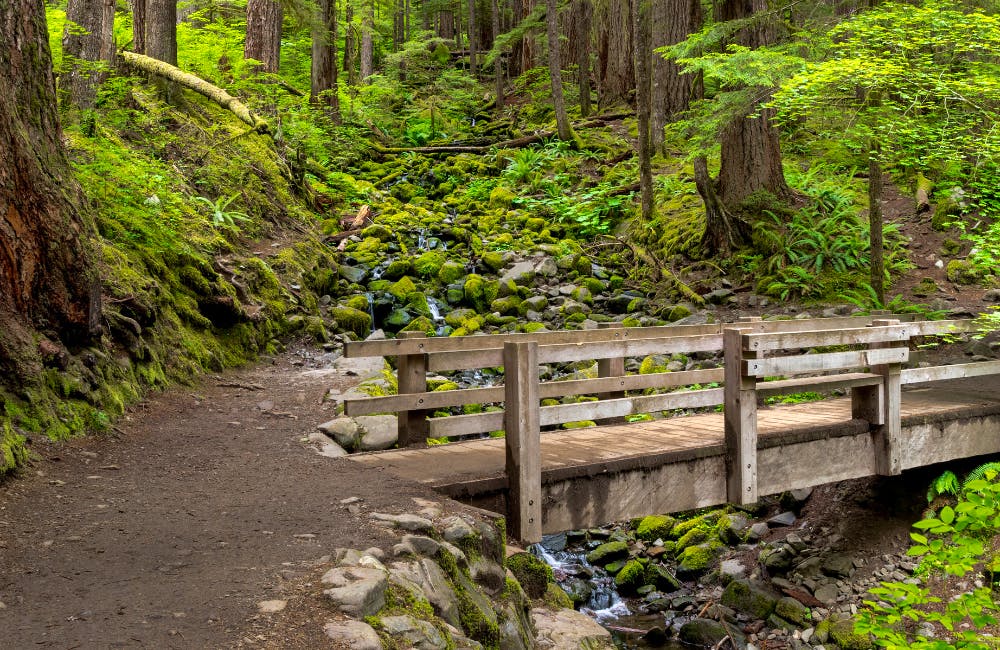 Sol Duc Falls Trail