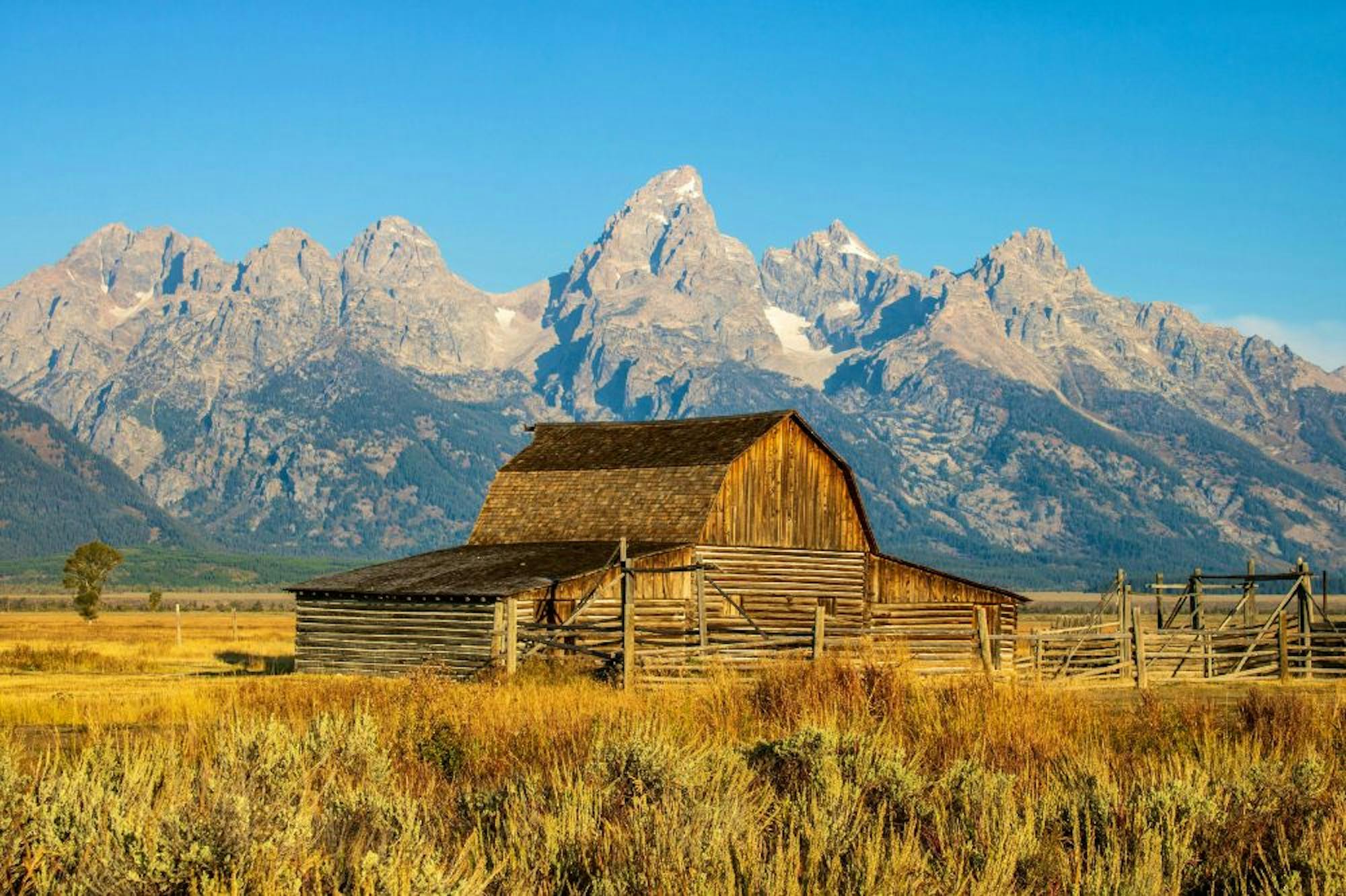 guide tips for traveling to yellowstone and grand teton