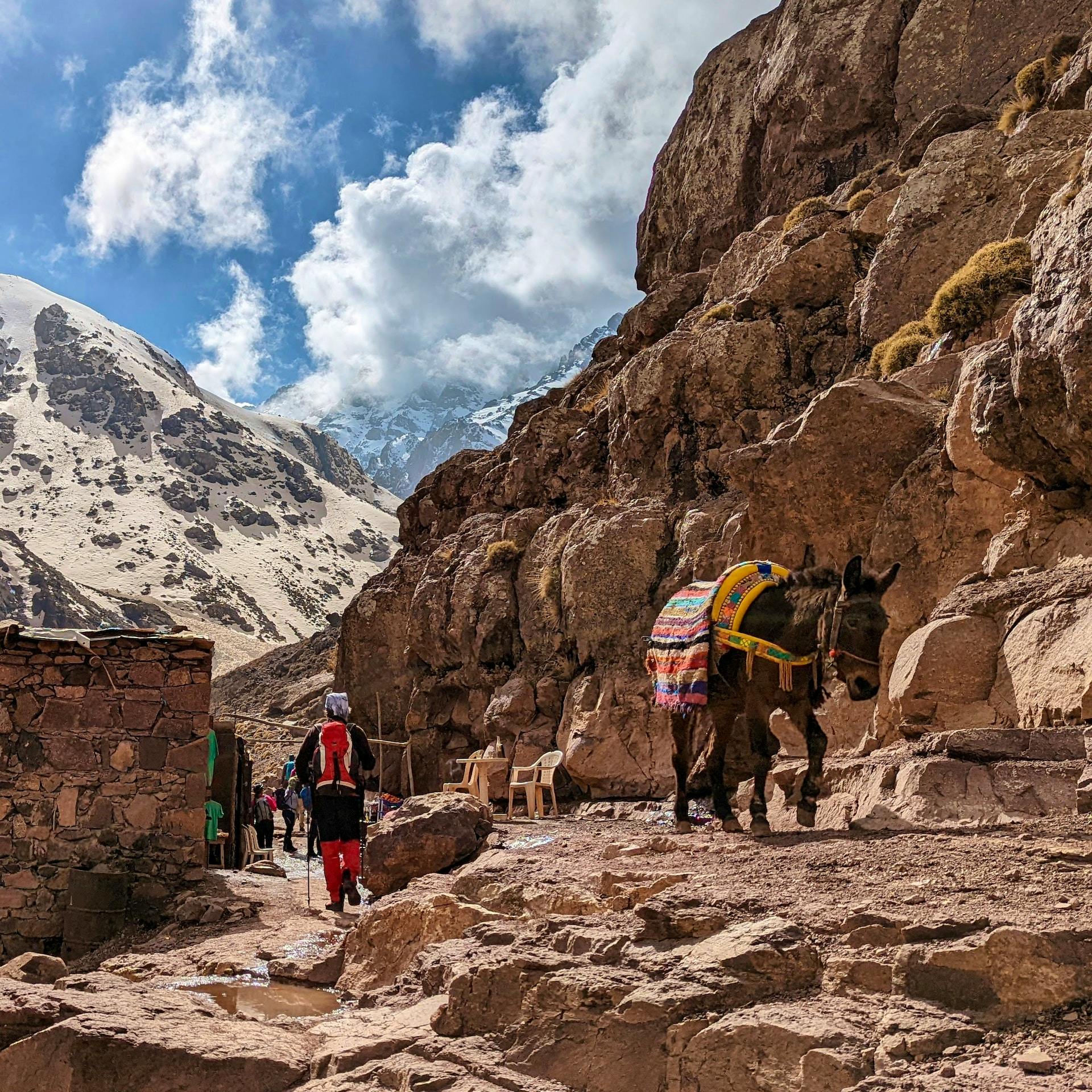 mule toubkal