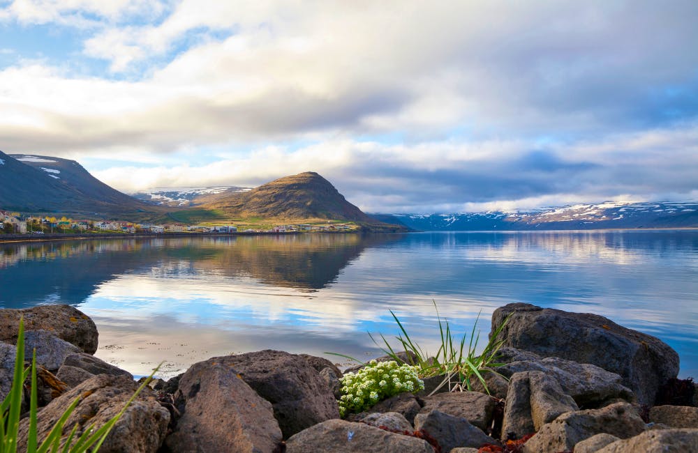 Patreksfjörður Iceland