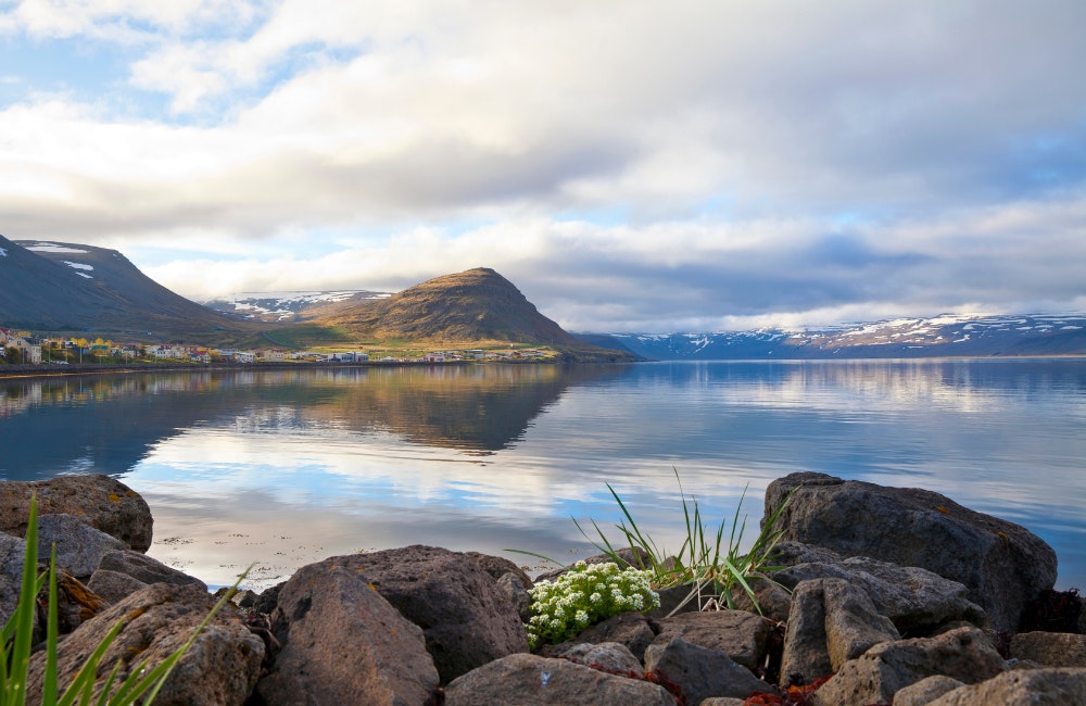 Patreksfjörður Iceland