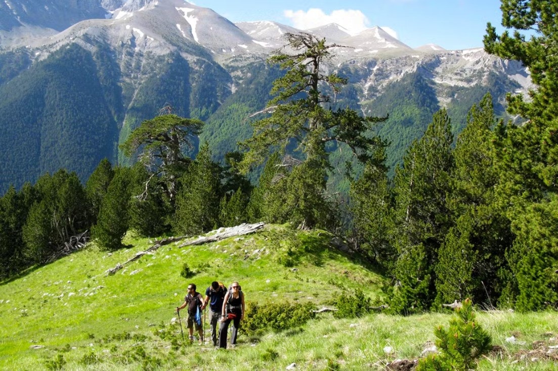 The first part of the trek.