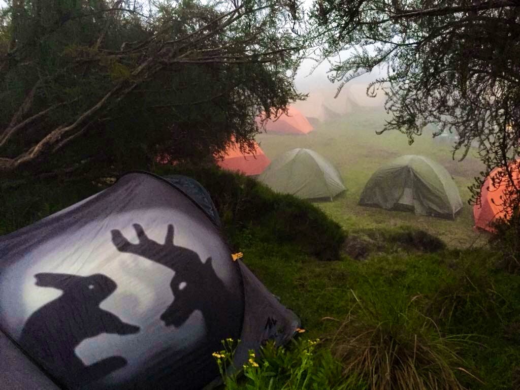 sleeping tents on mt kenya