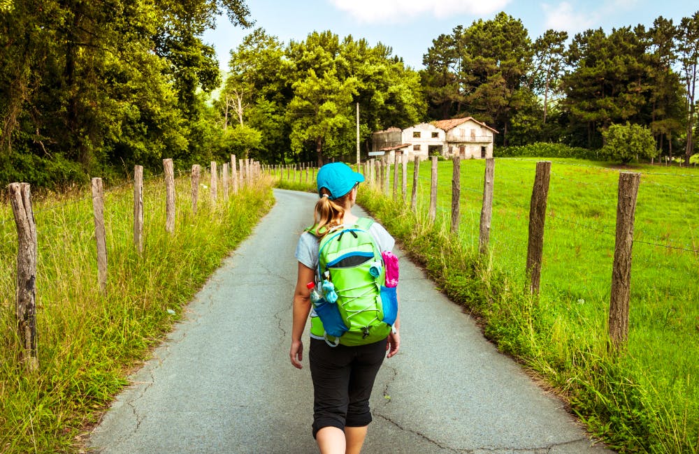 Camino de Santiago