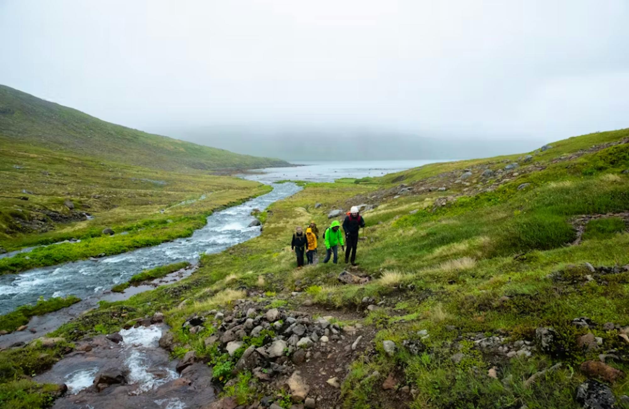 Hornstrandir Iceland (5)