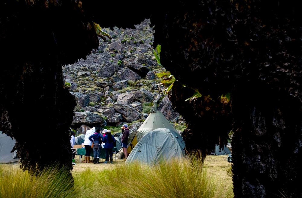 pitching camp on mt kenya