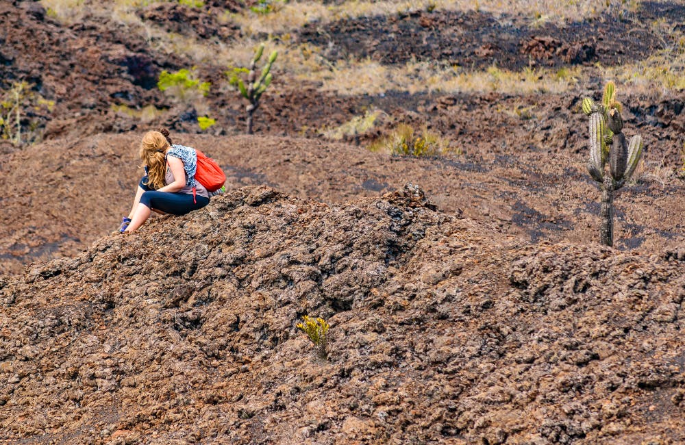 Sierra Negra Crater
