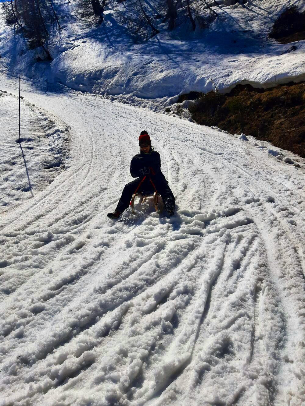 sledding in switzerland